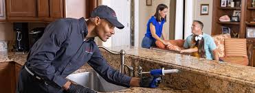 Best Termite Inspection and Treatment  in Conneaut Lakeshore, PA